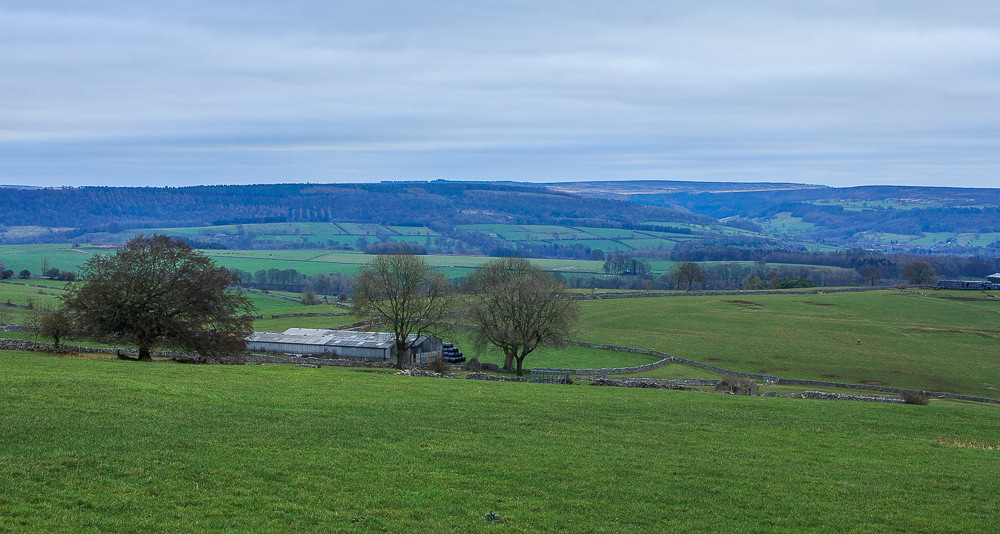 Manners Wood